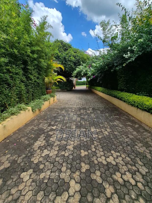 2bdrm House in Nyari for rent - thumbnail 13