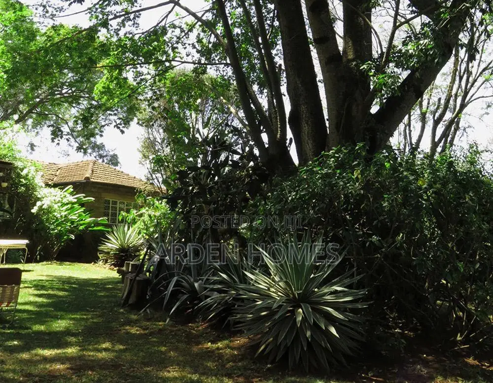 3bdrm House in Muthangari for sale