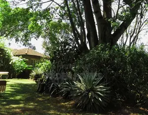 3bdrm House in Muthangari for sale