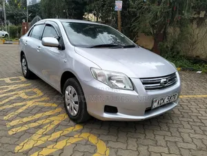 Toyota Axio 2010 Silver