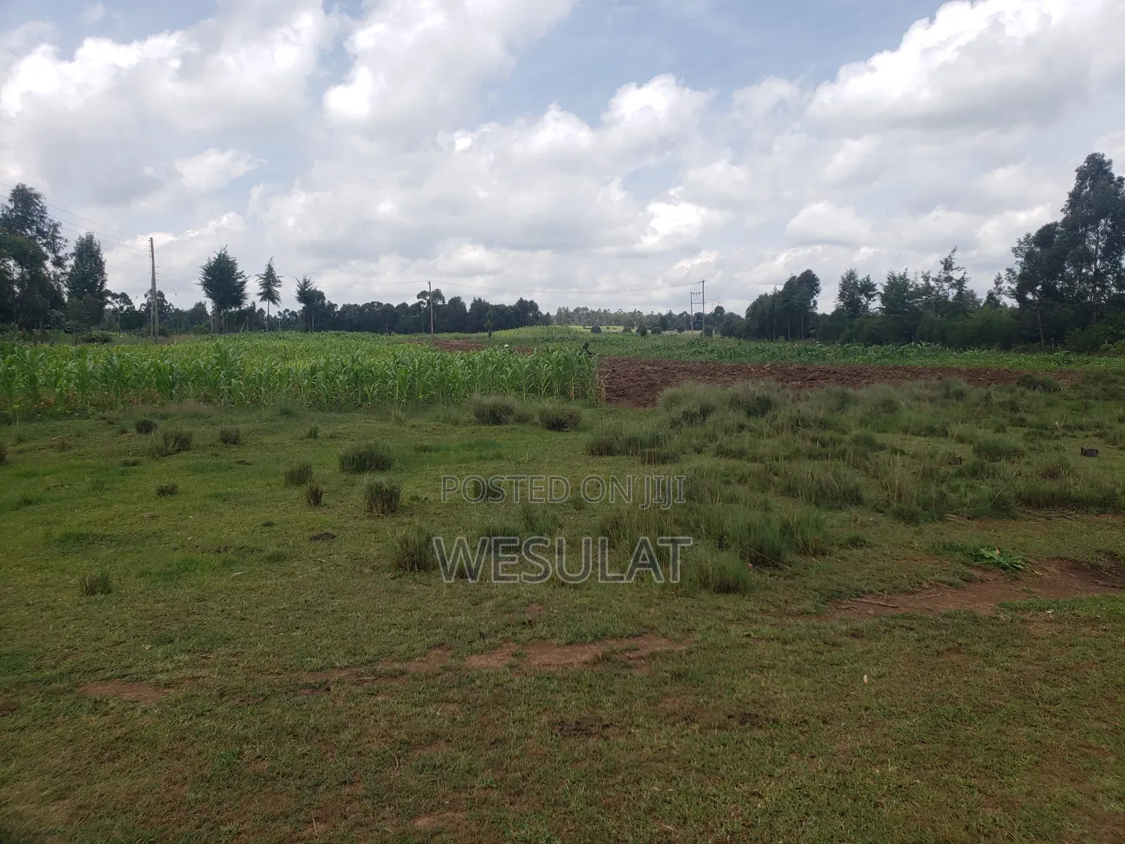 Land for Sale in Leshau Pondo Laikipia County