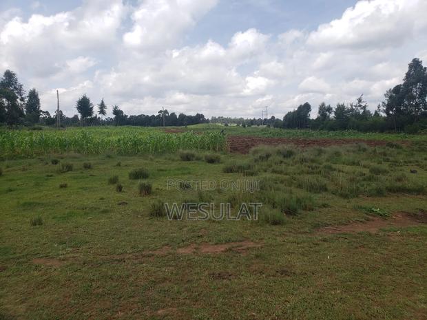 Land for Sale in Leshau Pondo Laikipia County