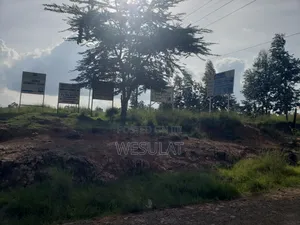 Land for Sale in Leshau Pondo Laikipia County