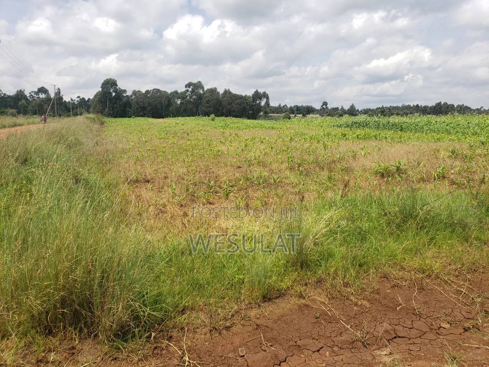 Land for Sale in Leshau Pondo Laikipia County