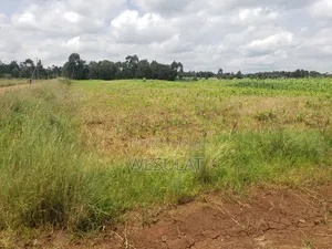 Land for Sale in Leshau Pondo Laikipia County