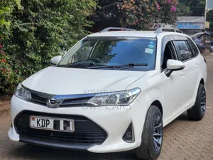 Toyota Corolla Fielder 2019 White