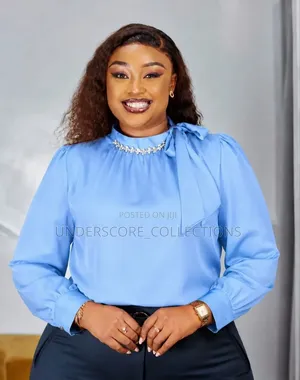 Executive Boss Lady Silky Tops