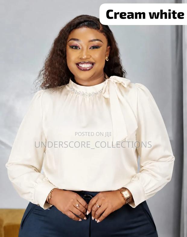 Executive Boss Lady Silky Tops - thumbnail 3