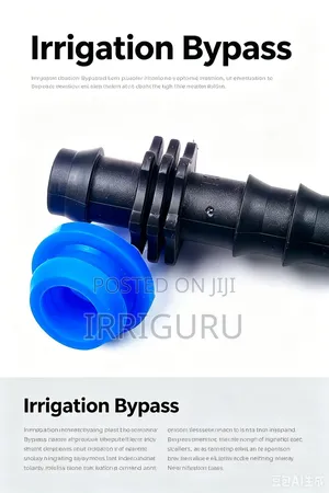 Starter and Rubber