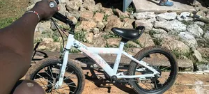 Victory Smart Bike