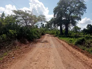 Prime 1⁄4 Acre ( 1000m2 ) Plot for Sale – Kinondo, Diani Beach