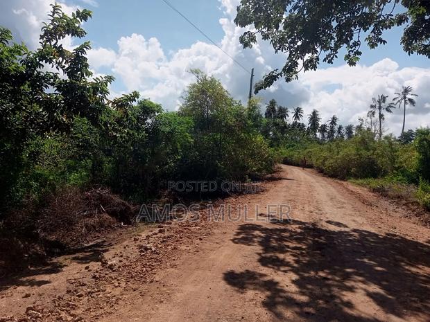Prime 1⁄4 Acre ( 1000m2 ) Plot for Sale – Kinondo, Diani Beach - thumbnail 2