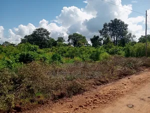 Prime 1⁄4 Acre ( 1000m2 ) Plot for Sale – Kinondo, Diani Beach