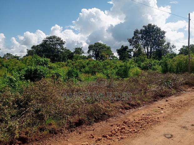 Prime 1⁄4 Acre ( 1000m2 ) Plot for Sale – Kinondo, Diani Beach - thumbnail 3