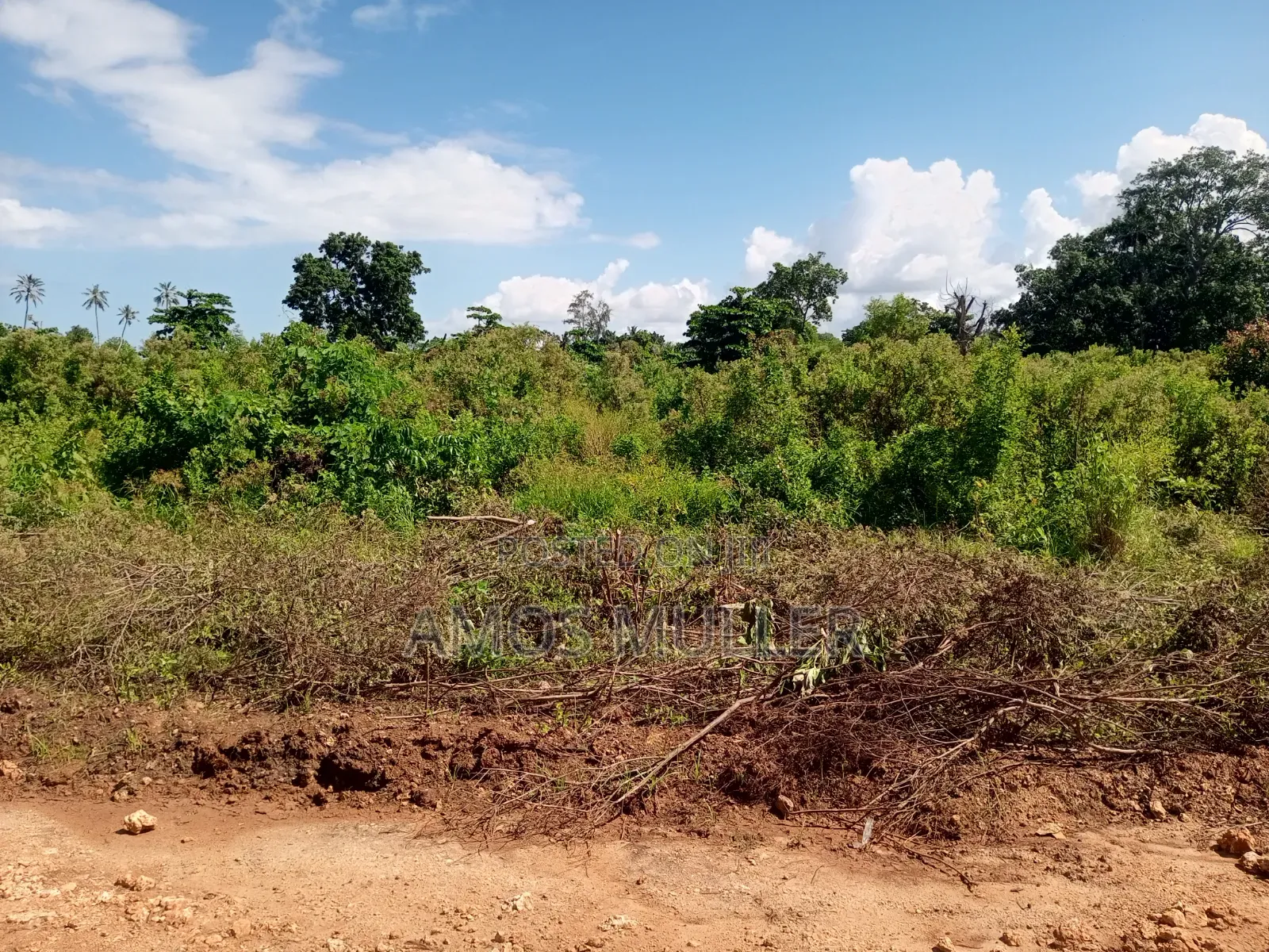 Prime 1⁄4 Acre ( 1000m2 ) Plot for Sale – Kinondo, Diani Beach