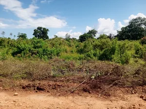 Prime 1⁄4 Acre ( 1000m2 ) Plot for Sale – Kinondo, Diani Beach