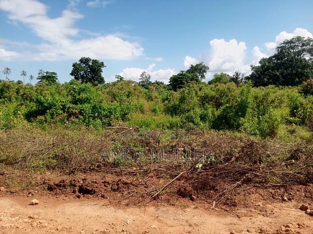 Prime 1⁄4 Acre ( 1000m2 ) Plot for Sale – Kinondo, Diani Beach - thumbnail 4