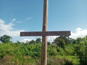 Prime 1⁄4 Acre ( 1000m2 ) Plot for Sale – Kinondo, Diani Beach