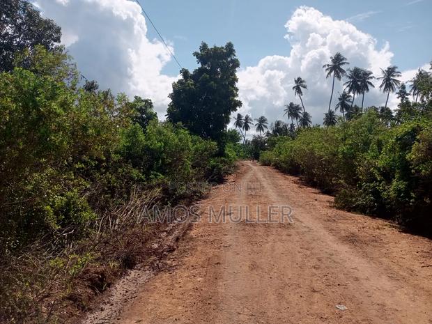 Prime 1⁄4 Acre ( 1000m2 ) Plot for Sale – Kinondo, Diani Beach - thumbnail 6