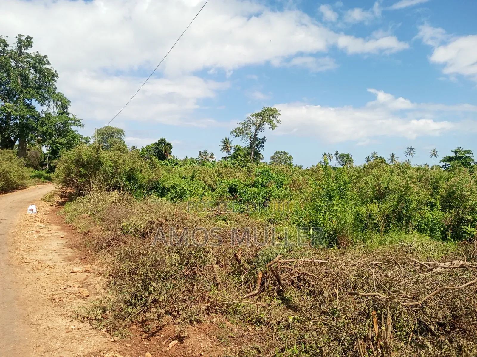 Prime 1⁄4 Acre ( 1000m2 ) Plot for Sale – Kinondo, Diani Beach