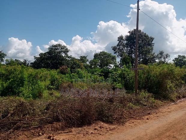 Prime 1⁄4 Acre ( 1000m2 ) Plot for Sale – Kinondo, Diani Beach - thumbnail 9