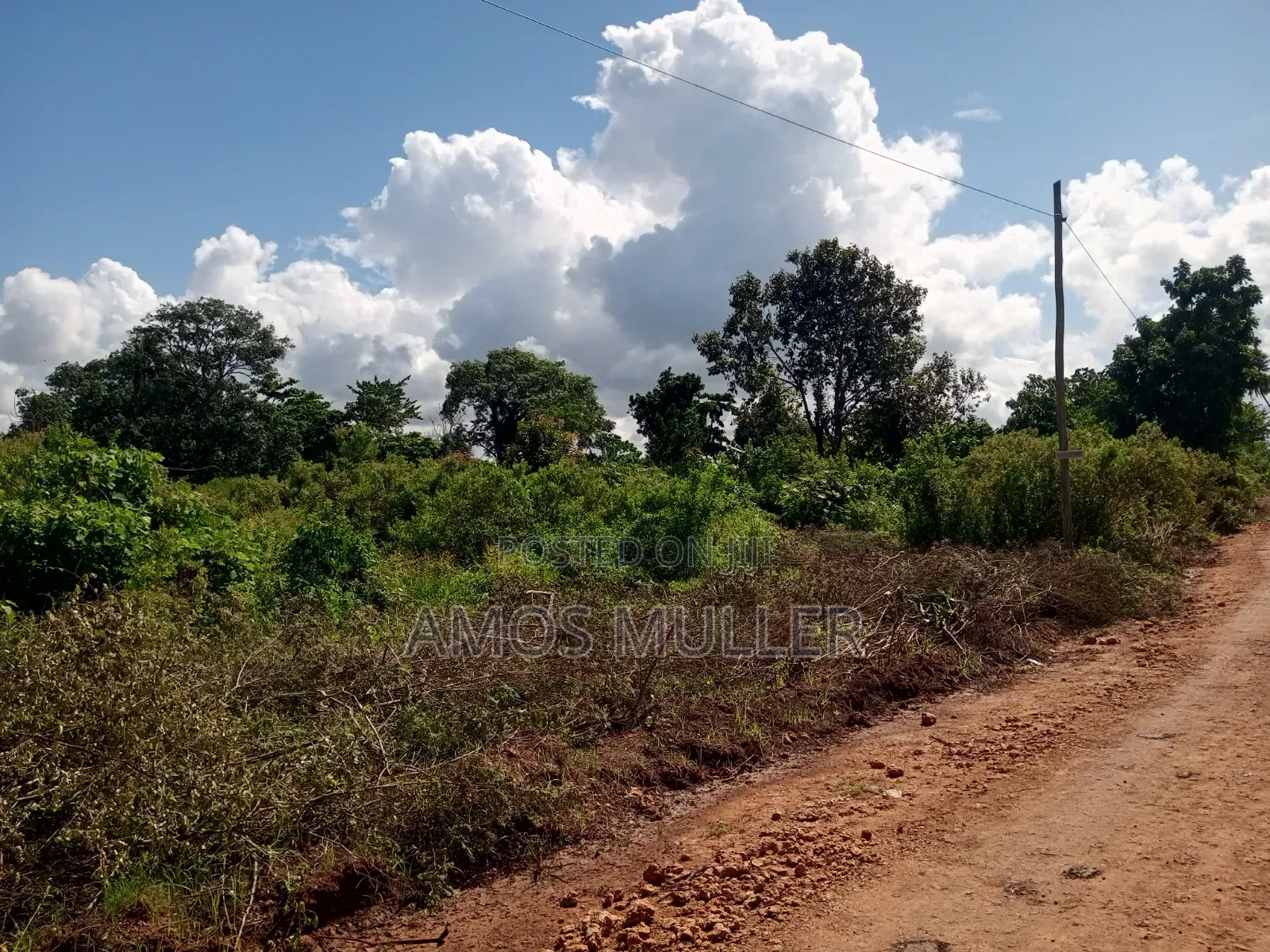 Prime 1⁄4 Acre ( 1000m2 ) Plot for Sale – Kinondo, Diani Beach