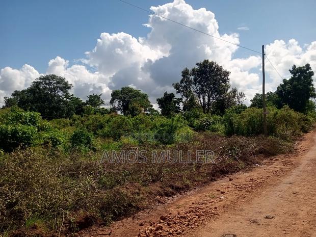 Prime 1⁄4 Acre ( 1000m2 ) Plot for Sale – Kinondo, Diani Beach - thumbnail 10