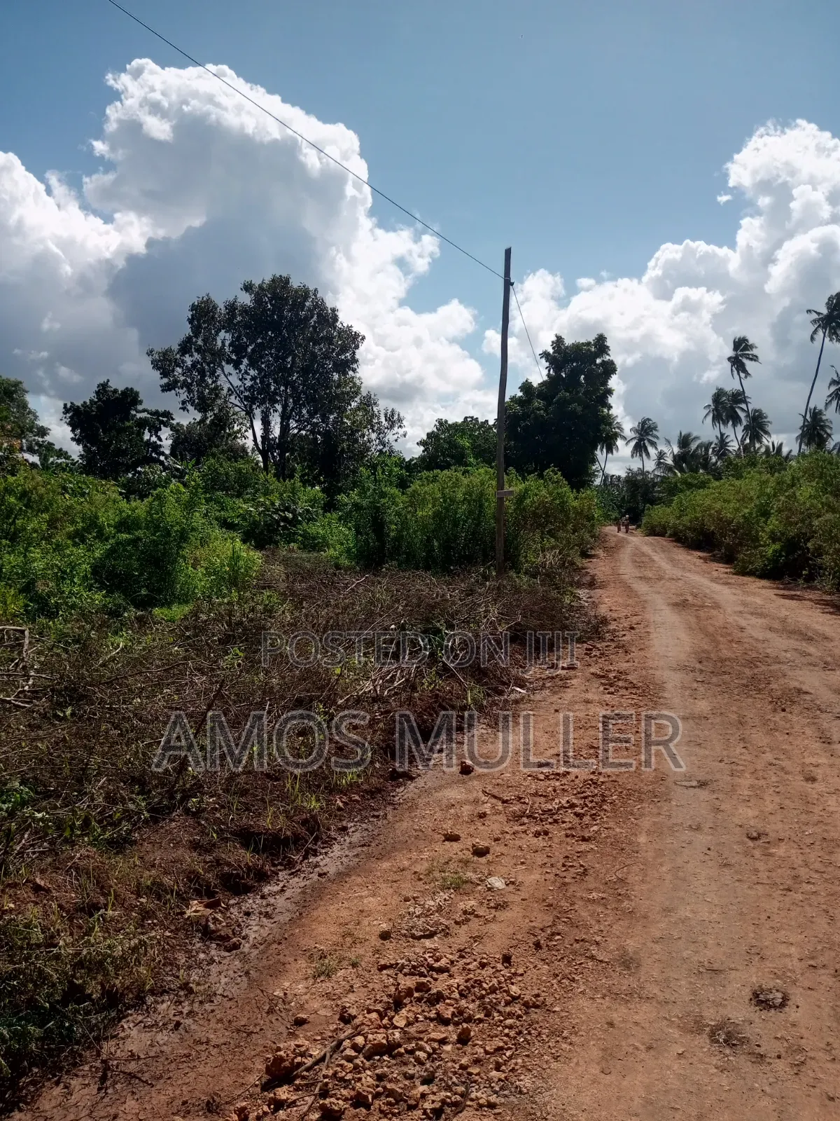 Prime 1⁄4 Acre ( 1000m2 ) Plot for Sale – Kinondo, Diani Beach