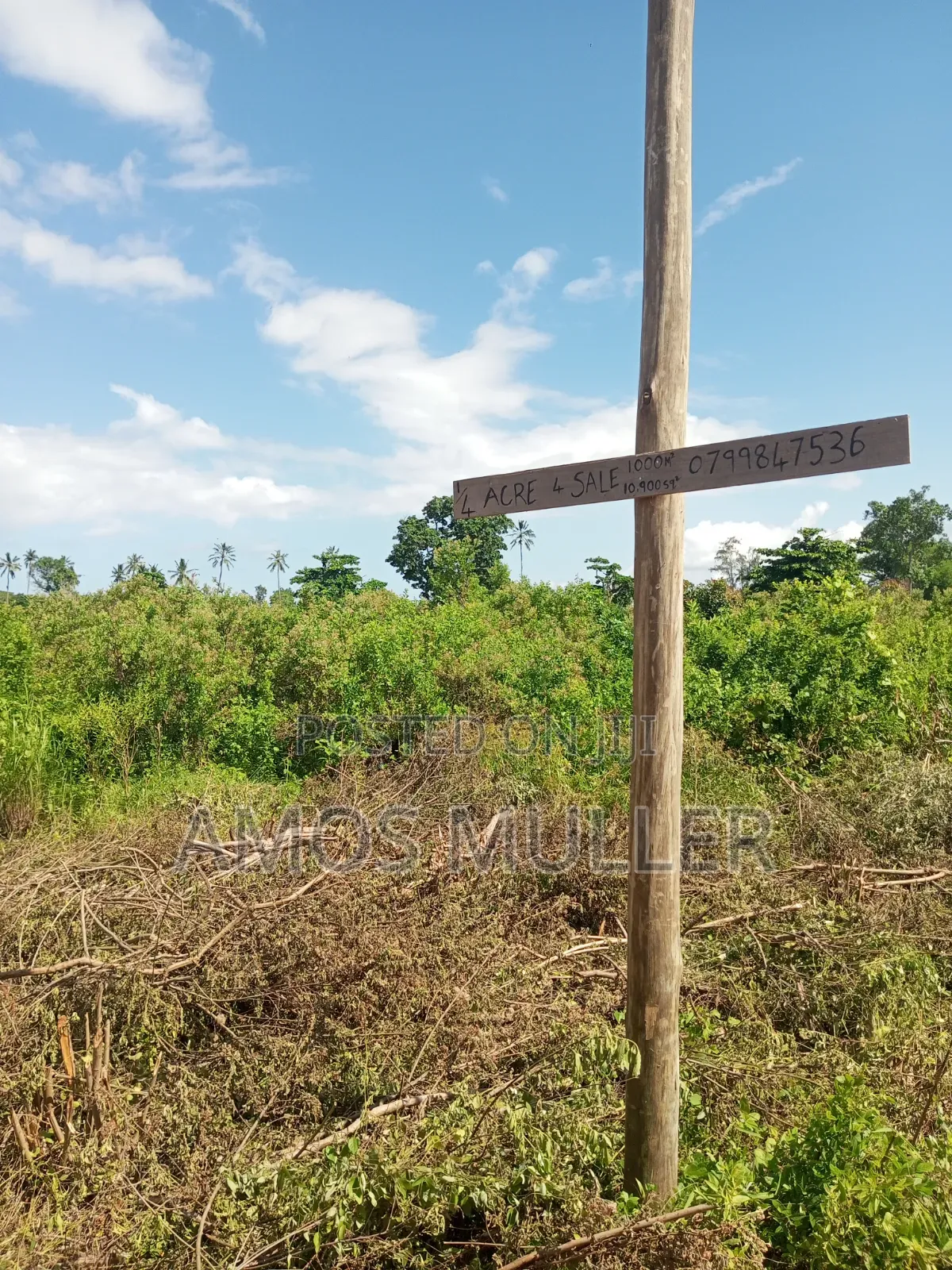 Prime 1⁄4 Acre ( 1000m2 ) Plot for Sale – Kinondo, Diani Beach