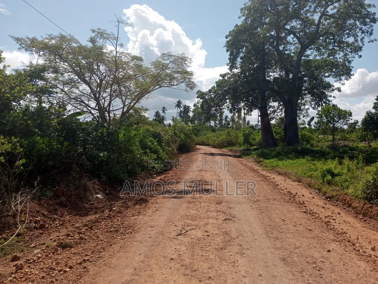 Prime 1⁄4 Acre ( 1000m2 ) Plot for Sale – Kinondo, Diani Beach