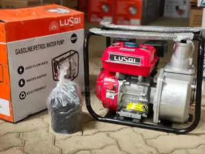 Lusqi Petrol Water Pump