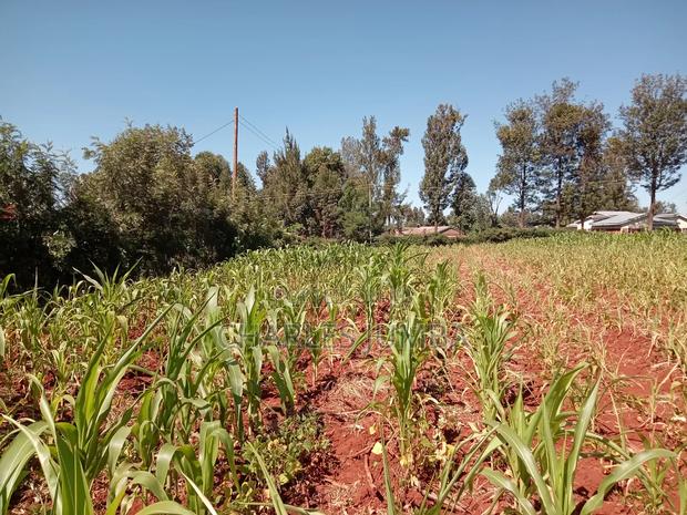 Nasianda Plot - main view