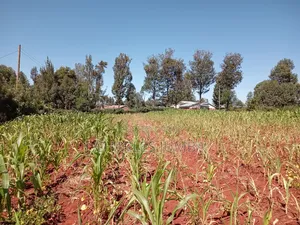 Nasianda Plot