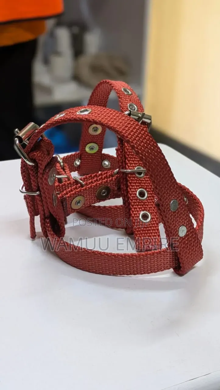 Concrete Climber Strap Pair