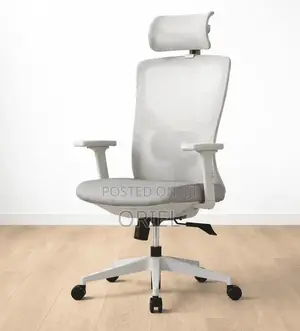 Office Chair : Gray Orthopedic Executive Office Chair