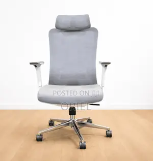 Office Chair : Gray Orthopedic Executive Office Chair