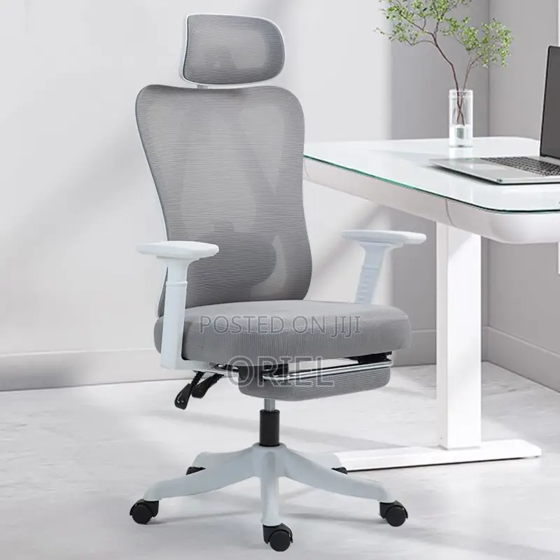 Office Chair : Gray Orthopedic Executive Office Chair
