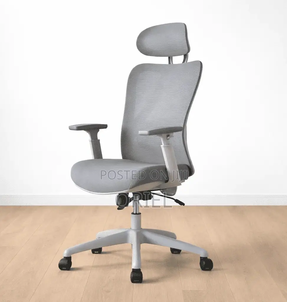Office Chair : Gray Orthopedic Executive Office Chair