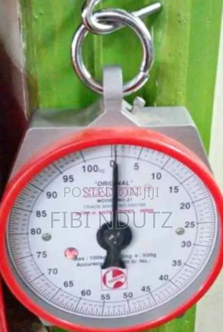 Hanson Hanging Scale/Original Weighing Scale 100kg