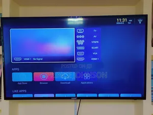 Television
