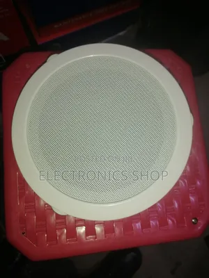 Bosch Cs -5500 Bm 8"Inch 80 Ohms 6 Watts Cilling Speaker