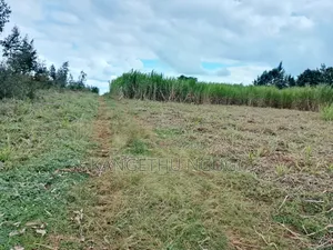 5 Acres at Ngorongo, Cianda Kiambu