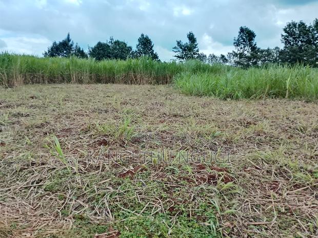 5 Acres at Ngorongo, Cianda Kiambu - thumbnail 2