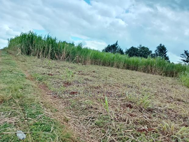 5 Acres at Ngorongo, Cianda Kiambu - thumbnail 3