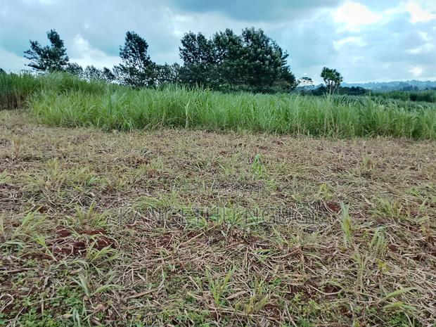 5 Acres at Ngorongo, Cianda Kiambu - thumbnail 4