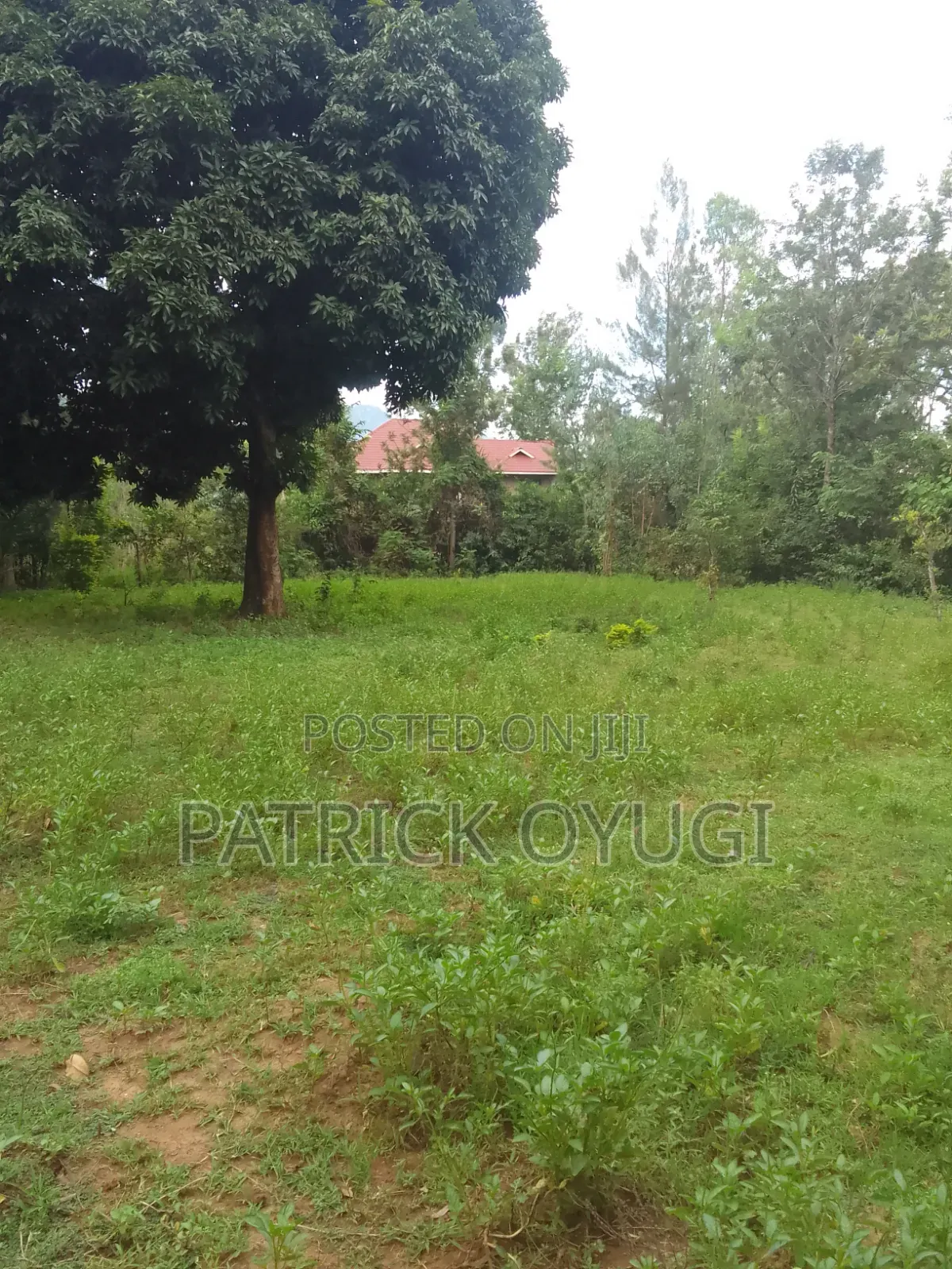 0.11ha Prime Land in Kisumu Mamboleo