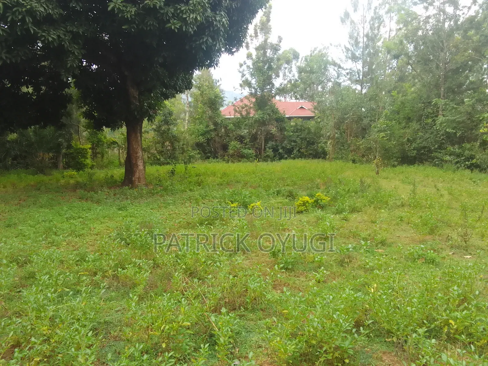 0.11ha Prime Land in Kisumu Mamboleo