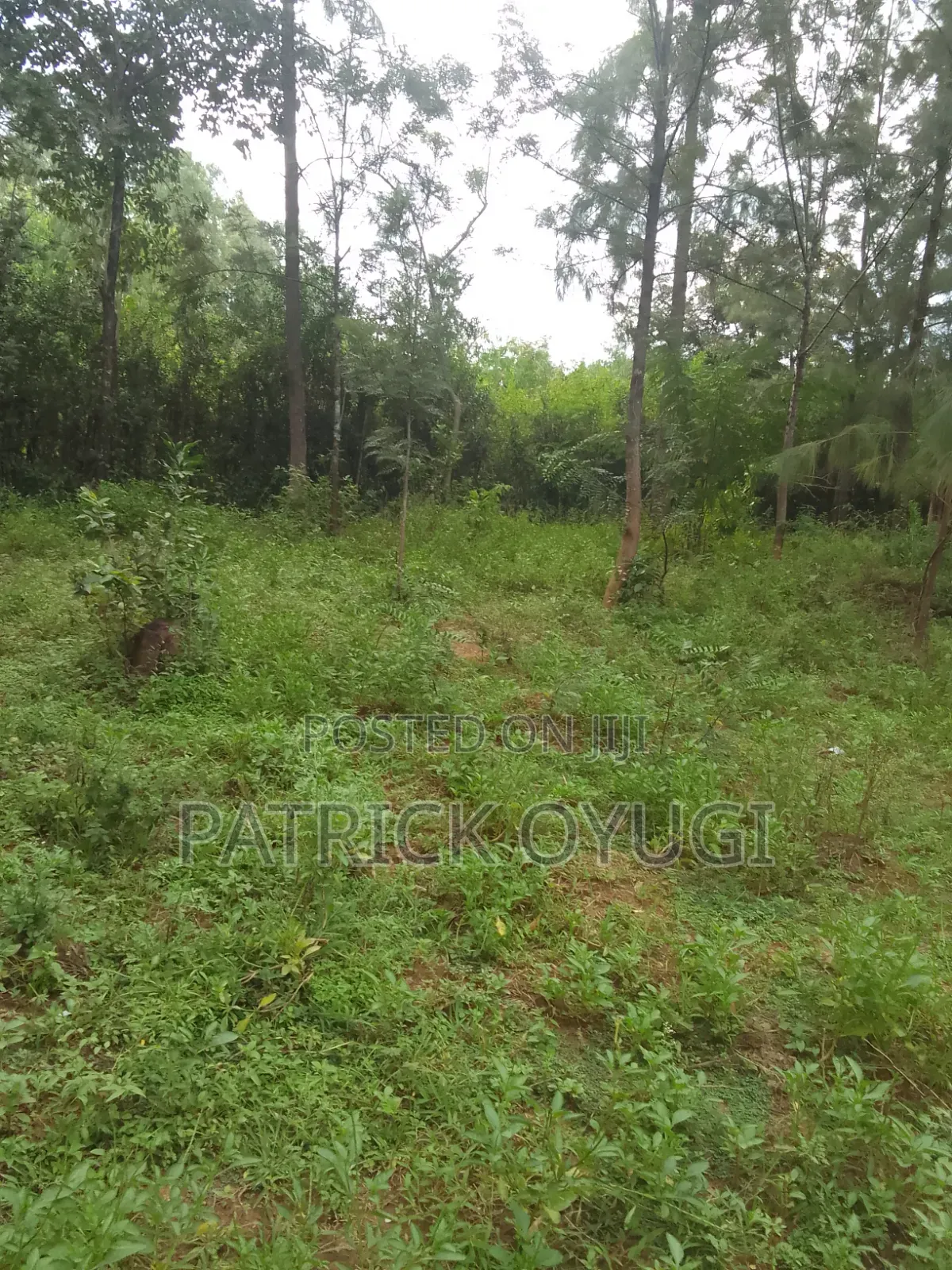 0.11ha Prime Land in Kisumu Mamboleo