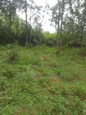 0.11ha Prime Land in Kisumu Mamboleo