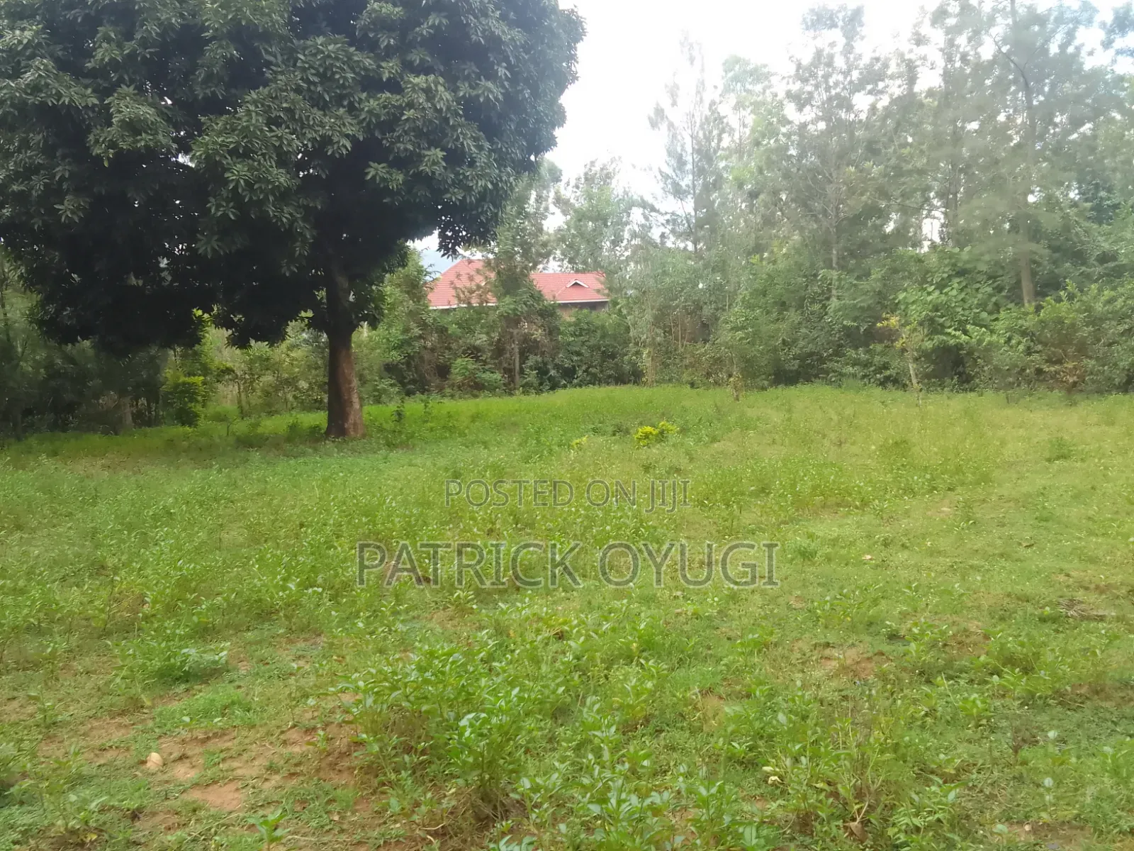 0.11ha Prime Land in Kisumu Mamboleo